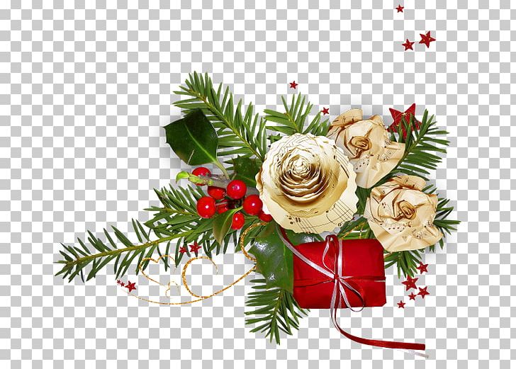 Christmas Ornament Garden Roses PNG, Clipart, Branch, Christmas, Christmas Decoration, Christmas Ornament, Christmastide Free PNG Download