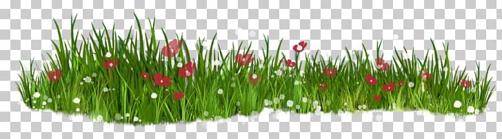 Flower Lawn Grasses PNG, Clipart, Aquarium Decor, Commodity, Dandelion, Flower, Flower Garden Free PNG Download