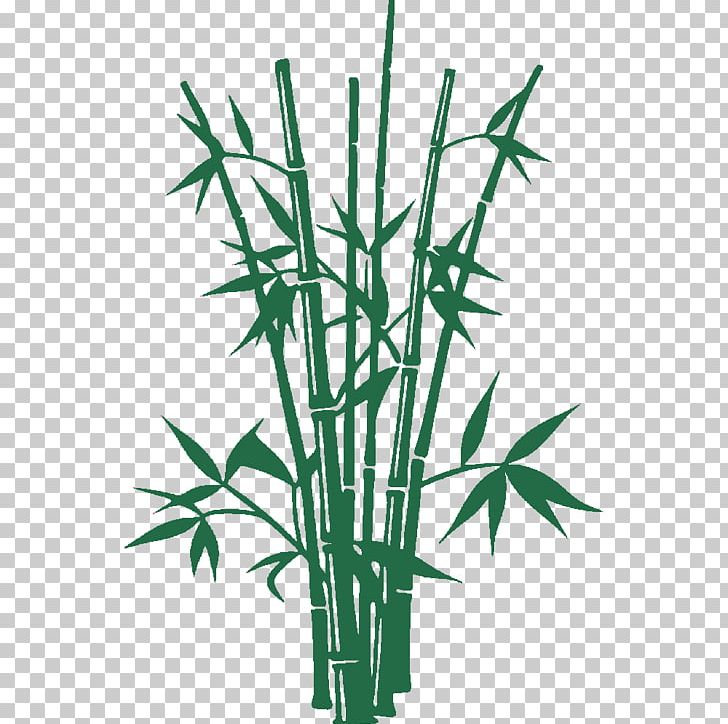 Graphics Bamboo Illustration Shutterstock PNG, Clipart, Bamboo, Black And White, Commodity, Drawing, Fallopia Japonica Free PNG Download