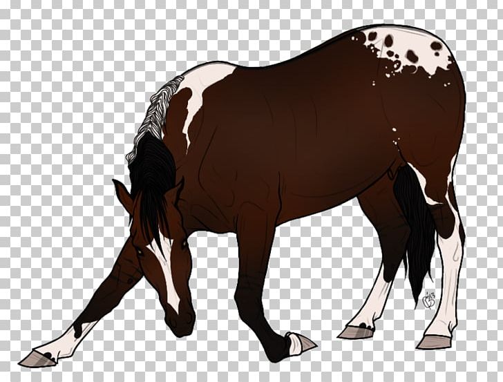 Mustang Stallion Foal Mare Colt PNG, Clipart, Bridle, Cattle, Cattle Like Mammal, Chiaroscuro, Colt Free PNG Download