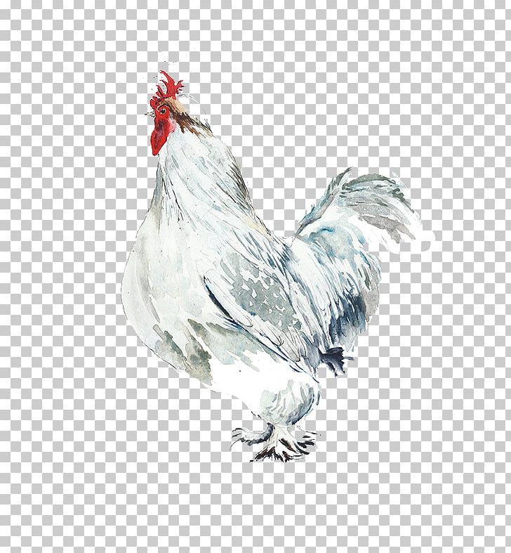 Rooster Chicken Watercolor Painting Bird Illustration PNG, Clipart, Animal, Animals, Background White, Beak, Big Free PNG Download