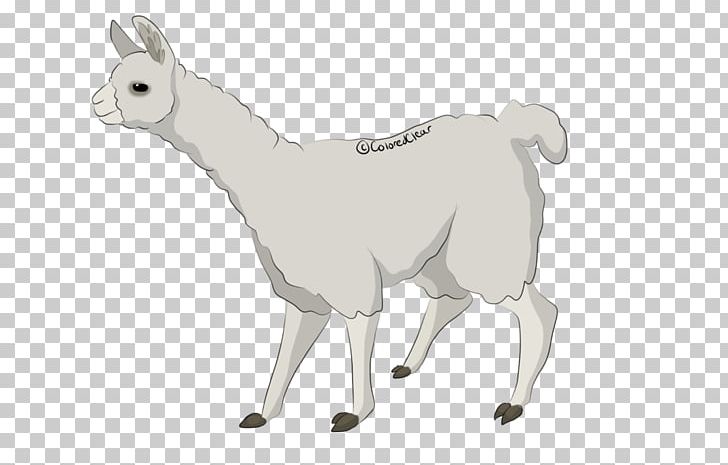 Sheep Cattle Goat Llama Horse PNG, Clipart, Animal, Animal Figure, Animals, Camel Like Mammal, Cartoon Free PNG Download