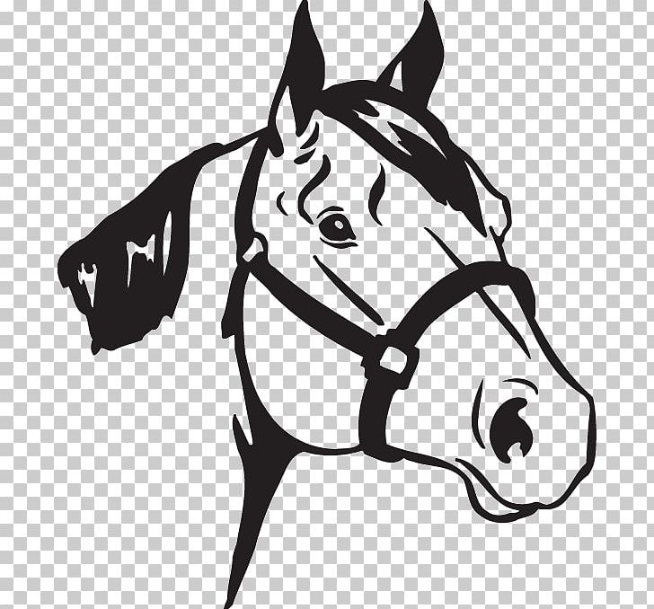 American Quarter Horse Wall Decal Sticker Equestrian PNG, Clipart, Black, Bumper Sticker, Carnivoran, Dog Like Mammal, Fictional Character Free PNG Download