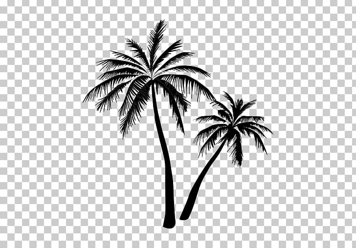 Arecaceae Tree PNG, Clipart, Arecaceae, Arecales, Black And White, Borassus Flabellifer, Branch Free PNG Download