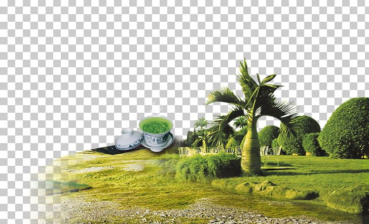 Nature Poster PNG, Clipart, Advertising, Atmosphere Of Earth, Banner, Bubble Tea, Computer Wallpaper Free PNG Download