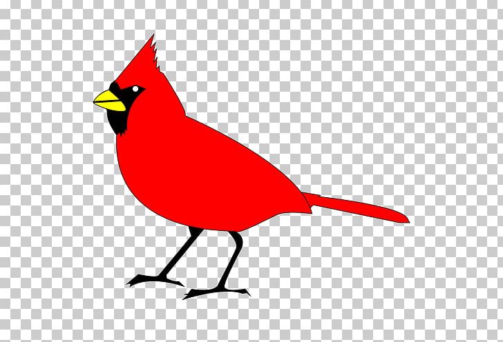 St. Louis Cardinals Northern Cardinal Free Content PNG, Clipart, Art, Beak, Bird, Black And White, Cardinal Free PNG Download