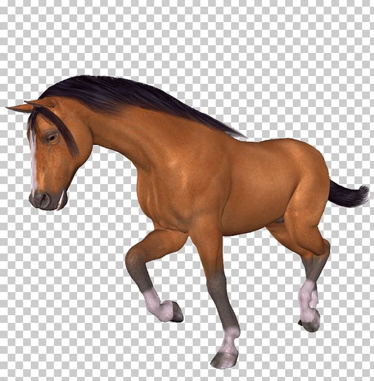 Horse Paintbrush PNG, Clipart, Adobe Indesign, Animal Figure, Bridle, Brush, Computer Icons Free PNG Download