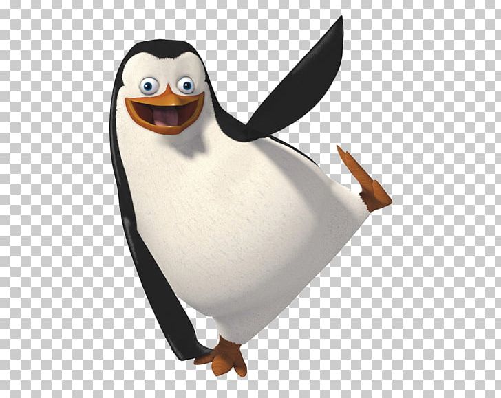 Penguin Skipper Madagascar PNG, Clipart, Actor, Animals, Beak, Bird, Celebrities Free PNG Download