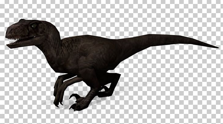 Velociraptor Jurassic Park: Operation Genesis Indoraptor Dilophosaurus Isla Nublar PNG, Clipart, Animal, Animal Figure, Dilophosaurus, Dinosaur, Future Free PNG Download