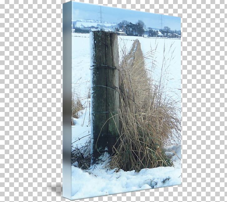 Wood Tree /m/083vt Winter PNG, Clipart, Freezing, Frost, Ice, M083vt, Snow Free PNG Download