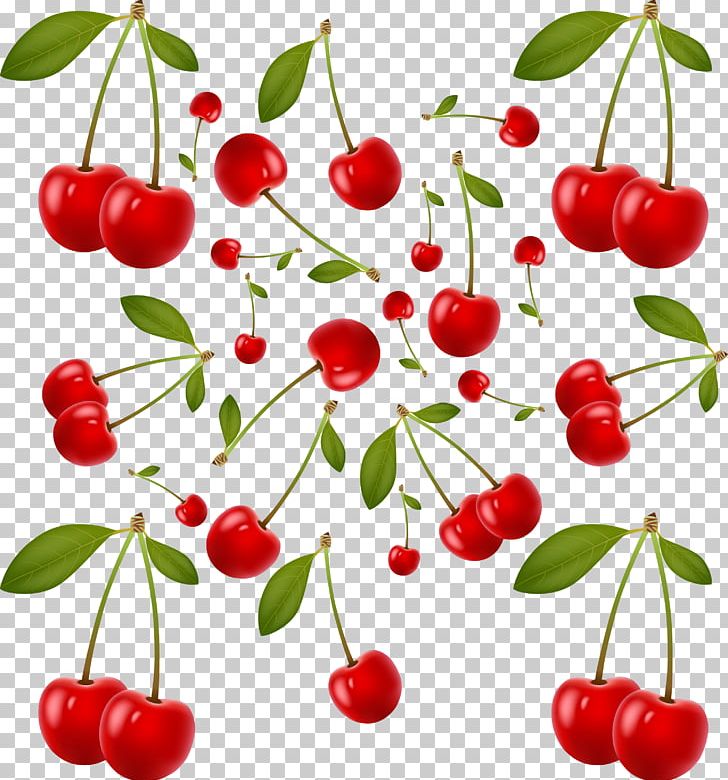 Barbados Cherry Auglis PNG, Clipart, Acerola Family, Apple Fruit, Berry, Branch, Cherry Free PNG Download