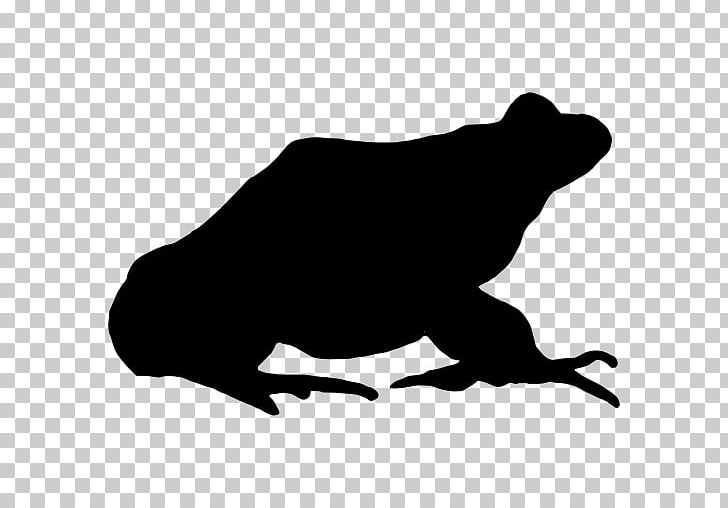 Frog Silhouette PNG, Clipart, Amphibian, Animal Kingdom, Animals, Artwork, Beak Free PNG Download