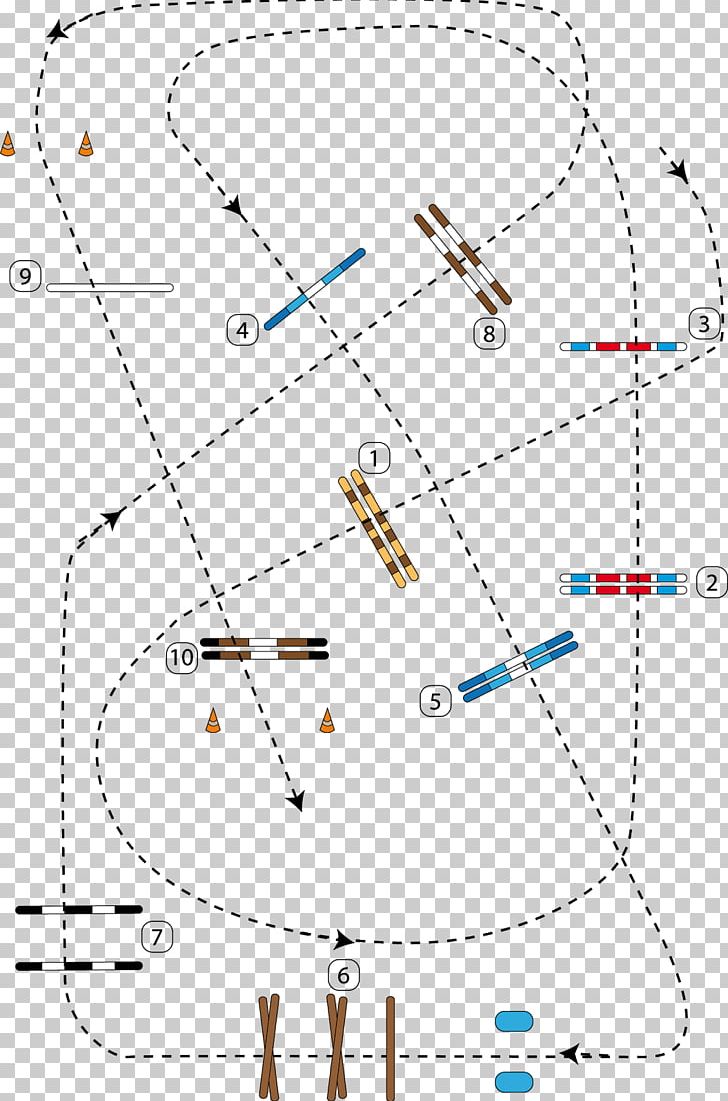 /m/02csf Hunt Seat Parcours De Concours De Saut D'obstacles Trot Réaumont PNG, Clipart,  Free PNG Download