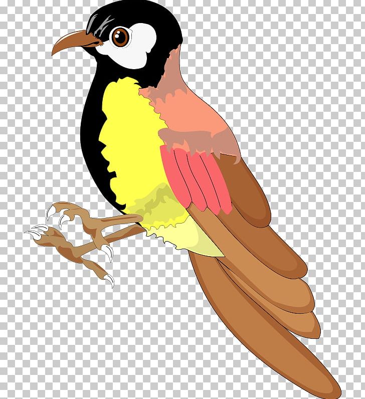 Bird Alouette PNG, Clipart, Alouette, Beak, Bird, Clip Art, Download Free PNG Download