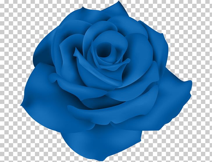Centifolia Roses Flower Garden Roses Blue Rose PNG, Clipart, Azure, Blue, Blue Rose, Centifolia Roses, Clip Art Free PNG Download