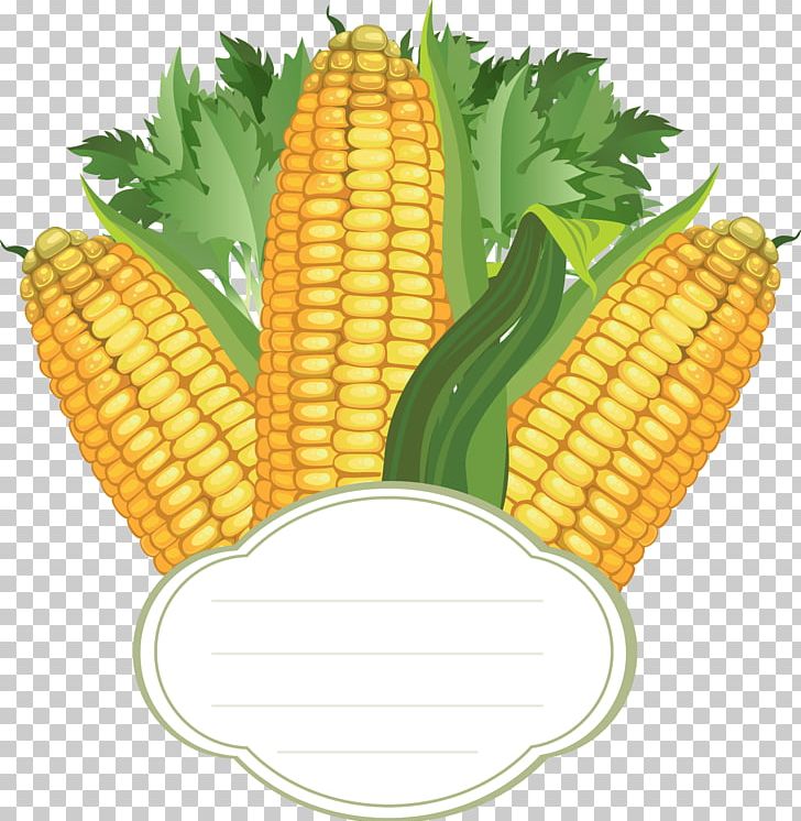 Corn On The Cob Portable Network Graphics Graphics Sweet Corn PNG, Clipart, Cereal, Commodity, Corn, Corncob, Corn Kernel Free PNG Download