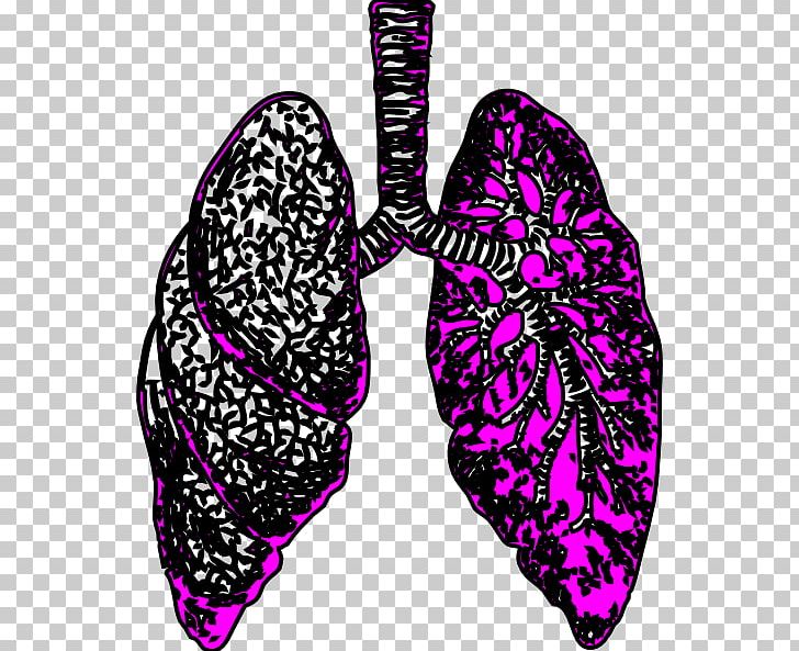 Lung PNG, Clipart, Breathing, Bronchus, Clip Art, Heart, Human Body Free PNG Download