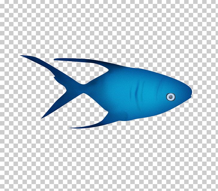 Shark PNG, Clipart, 2017, Acuairo Mar, Animal, Animals, Animation Free PNG Download