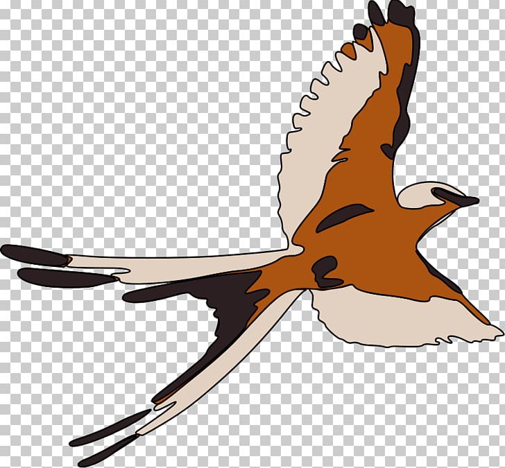 Bird Flight Bird Flight Swallow PNG, Clipart, Beak, Bird, Bird Flight, Bird Of Prey, Black Kite Free PNG Download