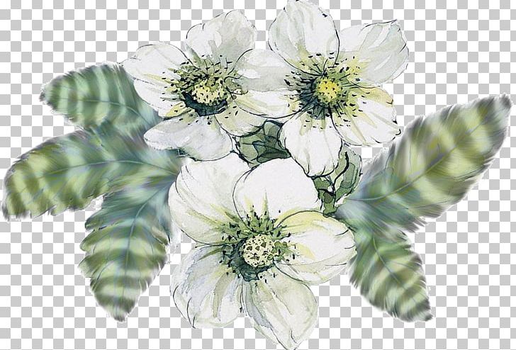 Cut Flowers White Yellow PNG, Clipart, Bud, Cut Flowers, Encapsulated Postscript, Flora, Flower Free PNG Download
