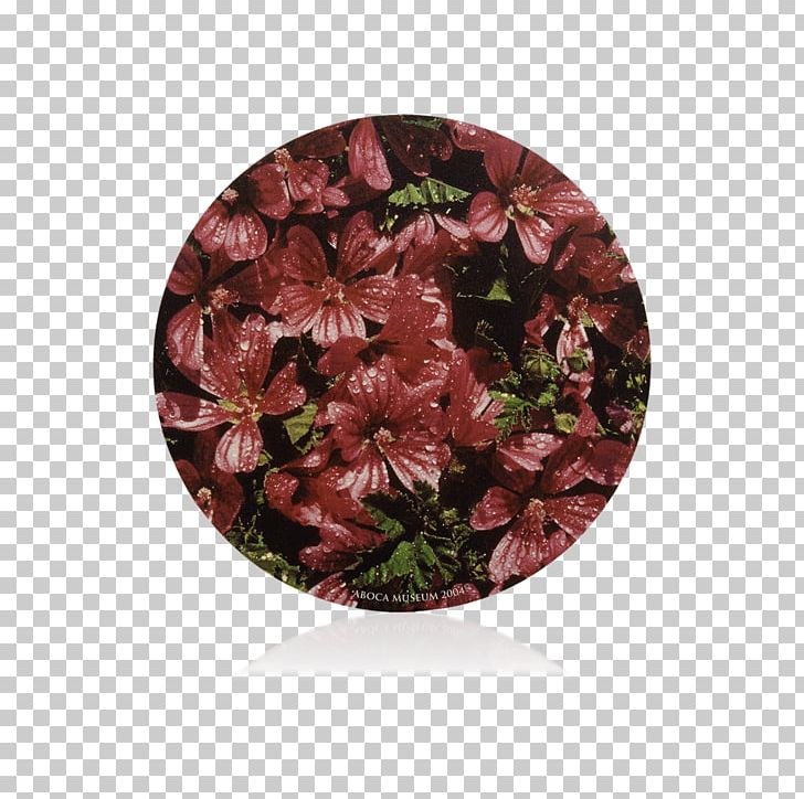Flower Maroon PNG, Clipart, Flower, Malva, Maroon, Nature, Plant Free PNG Download