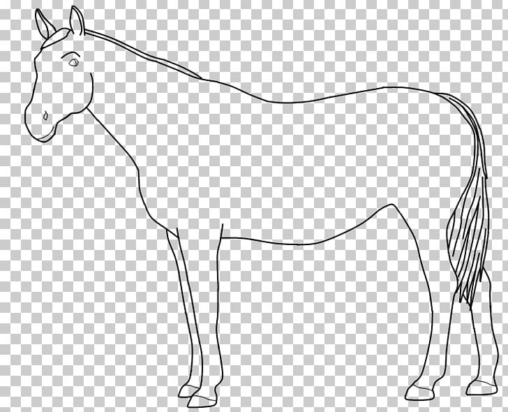Mule Bridle Foal Colt Halter PNG, Clipart, Artwork, Black And White, Bridle, Character, Colt Free PNG Download