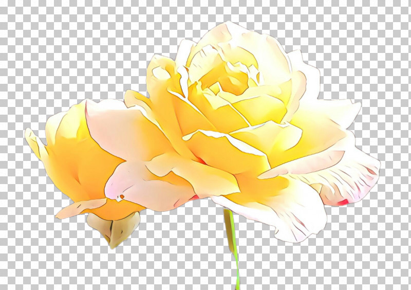 Artificial Flower PNG, Clipart, Artificial Flower, Cut Flowers, Flower, Garden Roses, Petal Free PNG Download
