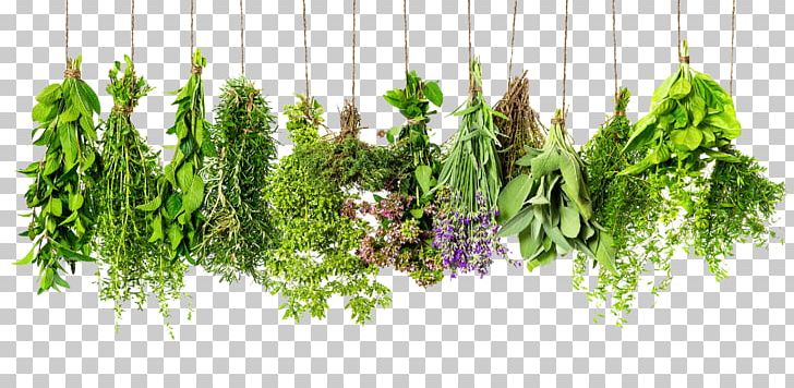 Herb Spice Rosemary Thyme Ingredient PNG, Clipart, Basil, Common Sage, Condiment, Fines Herbes, Floral Design Free PNG Download
