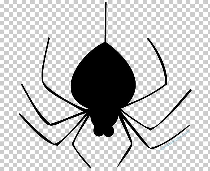Spider Coloring Book Line Art Sticker PNG, Clipart, Adhesive, Animal, Arachnid, Artwork, Black Free PNG Download
