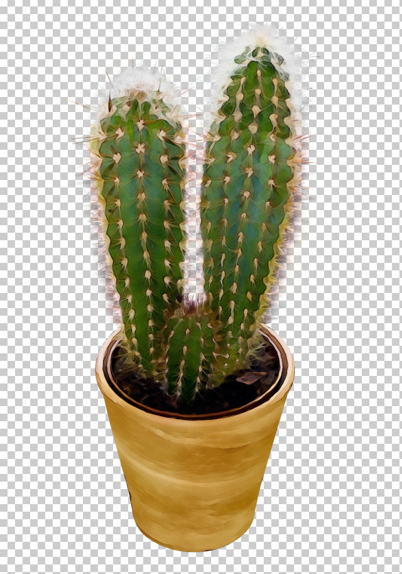 Cactus PNG, Clipart, Acanthocereus, Barbary Fig, Cactus, Eastern Prickly Pear, Echinocactus Free PNG Download