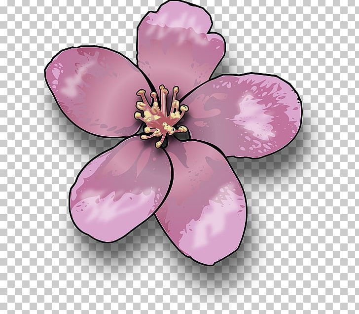 Drawing Blossom PNG, Clipart, Art, Blossom, Cherry Blossom, Computer Icons, Desktop Wallpaper Free PNG Download