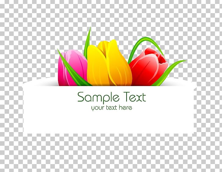 Flower Tulip Banner PNG, Clipart, Border Texture, Brand, Computer Wallpaper, Cut Flowers, Download Free PNG Download