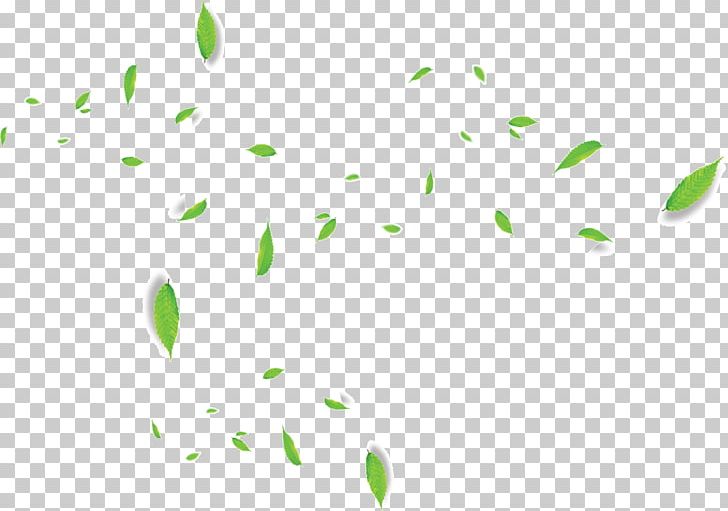 Green Leaf PNG, Clipart, Angle, Autumn Leaves, Banana Leaves, Circle, Dancing Free PNG Download
