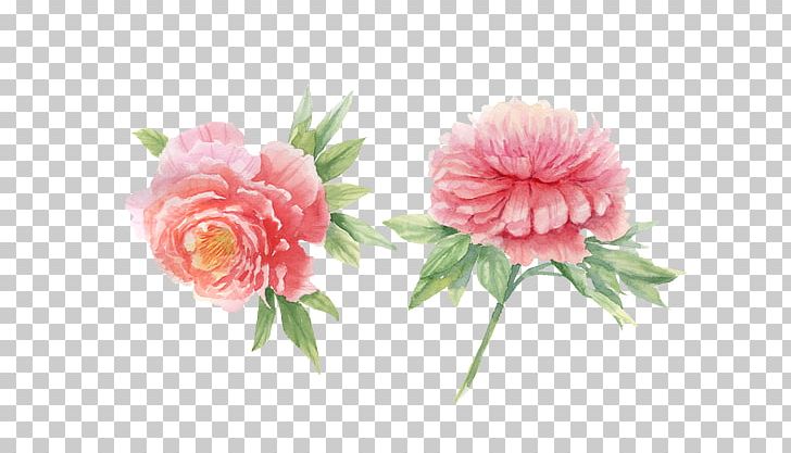 Peony Watercolor Painting PNG, Clipart, Artificial Flower, Carnation, Centifolia Roses, Creative Market, Cut Flowers Free PNG Download