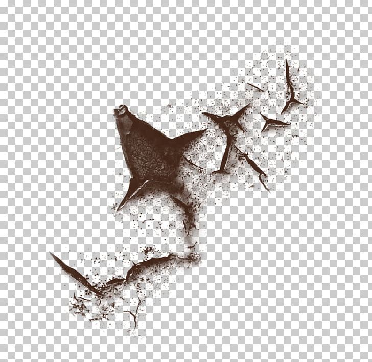 Portable Network Graphics Editing Adobe Photoshop PNG, Clipart, Bat, Black And White, Crackle, Desktop Wallpaper, Editing Free PNG Download