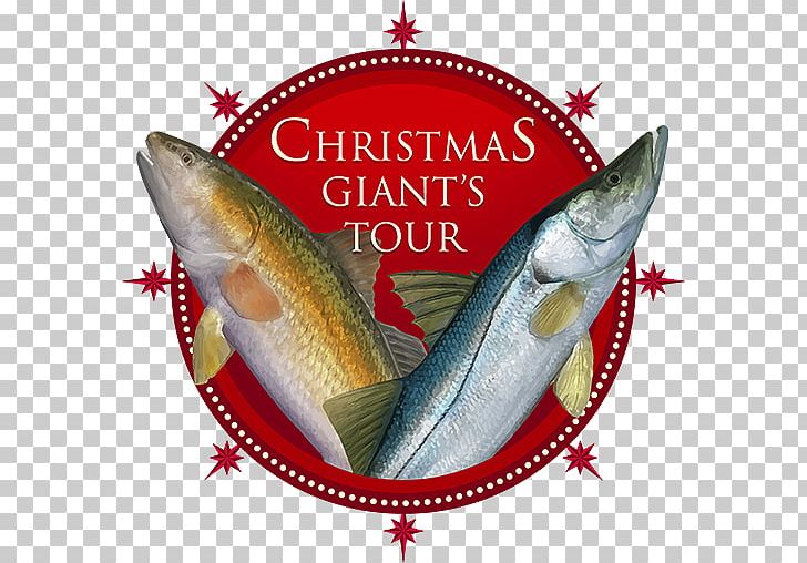 Santa Claus Fishing Planet Christmas Angling PNG, Clipart, Angling, Animal Source Foods, Christmas, Christmas Tree, Fish Free PNG Download