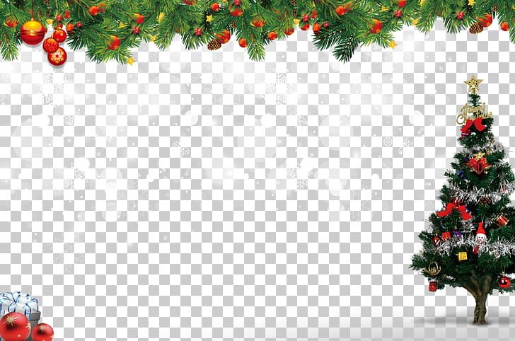 Christmas Tree Christmas Ornament PNG, Clipart, Activity, Christmas Decoration, Christmas Frame, Christmas Lights, Decor Free PNG Download