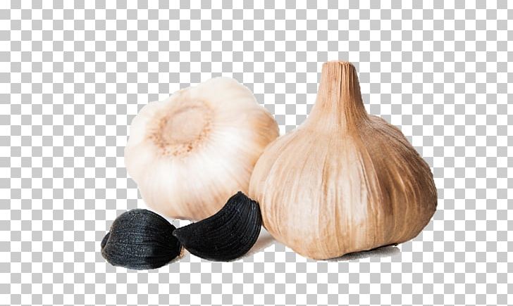 Garlic PNG, Clipart, Black Garlic, Food, Garlic, Ingredient, Onion Genus Free PNG Download