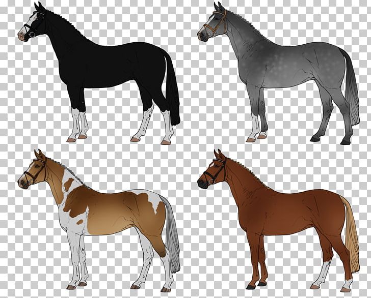 Mongolian Horse Pony Drawing PNG, Clipart, Breed, Colt, Drawing, Equestrian, Fauna Free PNG Download