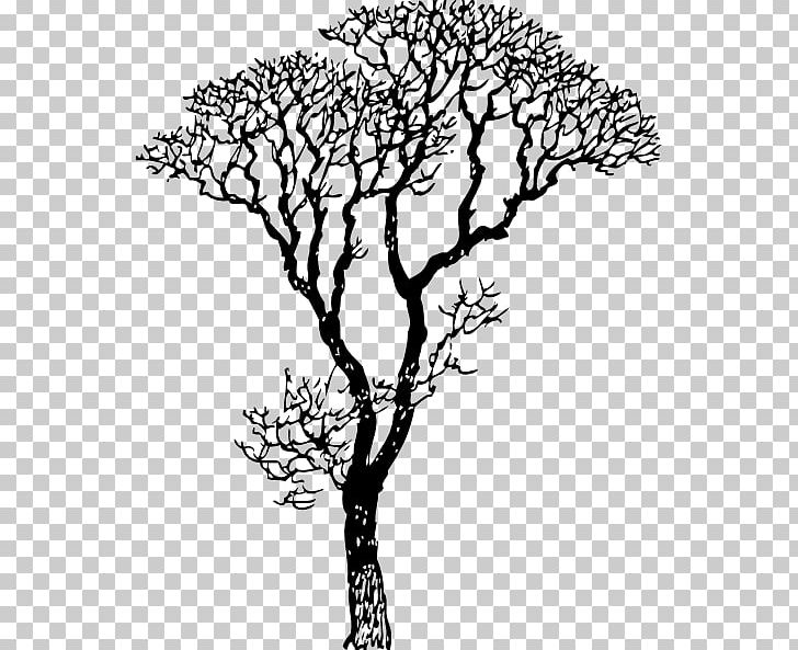 Wall Decal Sticker Tree Branch PNG, Clipart, Black And White, Branch, Decal, Drawing, Flora Free PNG Download