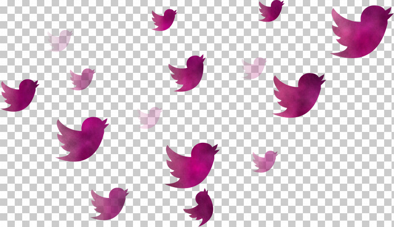 Twitter Flying Birds Birds PNG, Clipart, Birds, Butterfly, Feather, Flying Birds, Magenta Free PNG Download