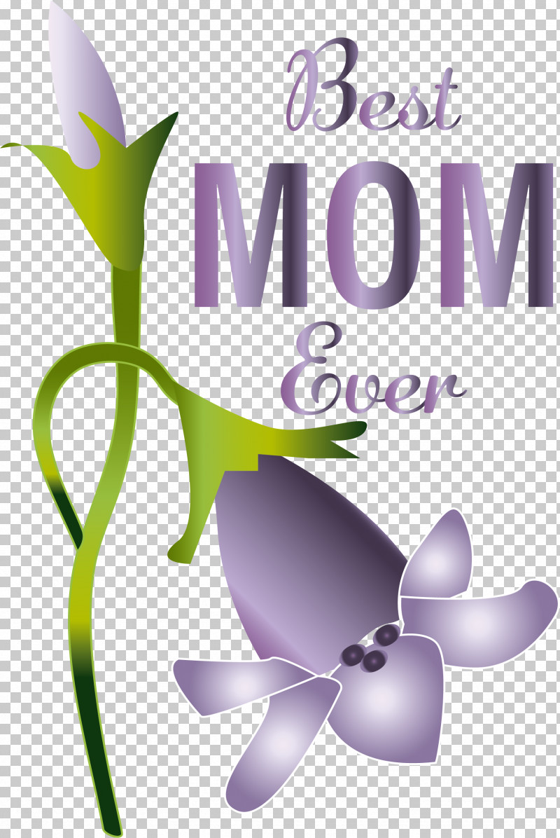 Floral Design PNG, Clipart, Biology, Floral Design, Flower, Lavender, Logo Free PNG Download