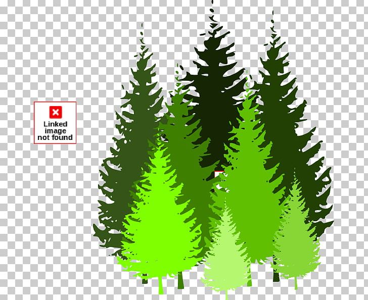 Forest Free Content Tree PNG, Clipart, Biome, Blog, Christmas Decoration, Christmas Ornament, Christmas Tree Free PNG Download