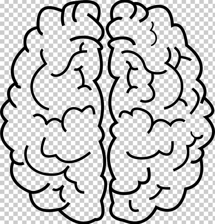 Line Art Human Brain Drawing PNG, Clipart, Area, Black And White, Brain, Cerebrum, Circle Free PNG Download
