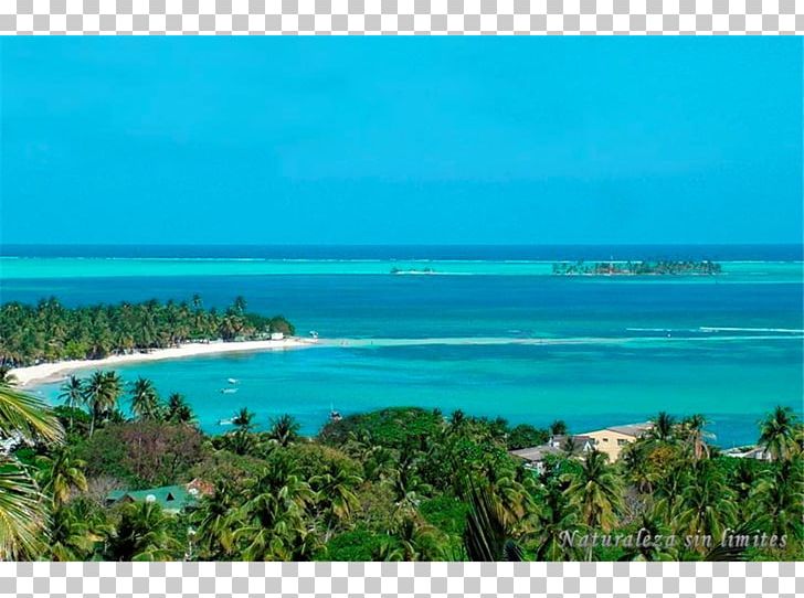 San Andrés Hotel Cocoplum Beach Cocoplum Bay Shore PNG, Clipart, Accommodation, Archipelago, Bay, Beach, Beach Bar Free PNG Download