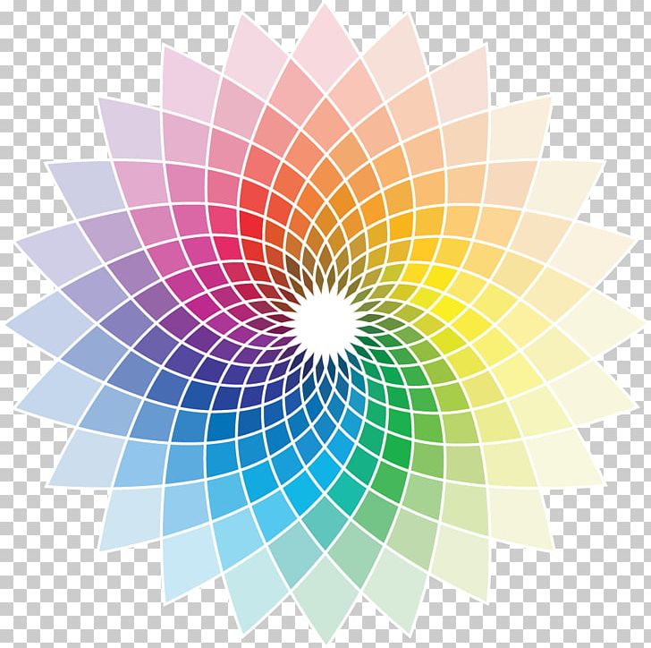 Color Wheel Creativity Interior Design Services Png Clipart
