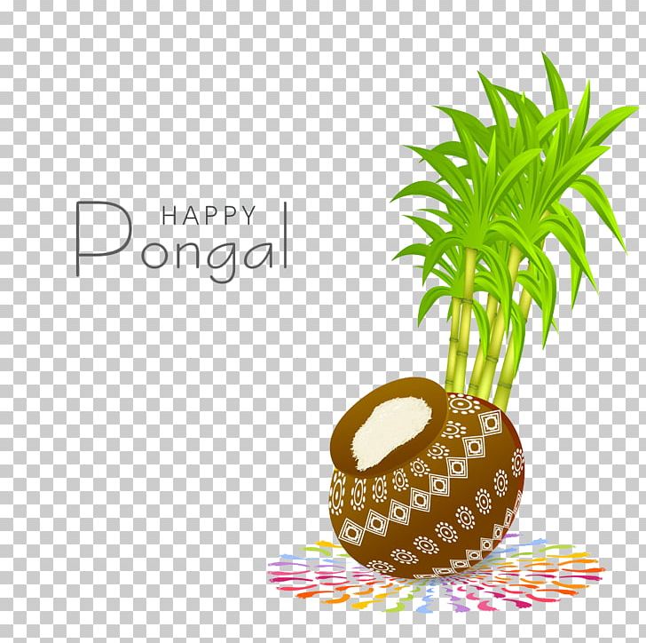 Thai Pongal Festival Makar Sankranti Stock Photography PNG, Clipart, Bamboo Leaves, Blue, Brand, Bumper, Depositphotos Free PNG Download