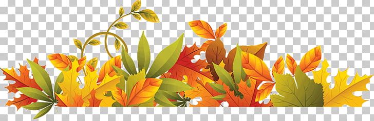 Autumn Leaf Color PNG, Clipart, Autumn, Autumn Leaf Color, Computer Wallpaper, Encapsulated Postscript, Fall Free PNG Download