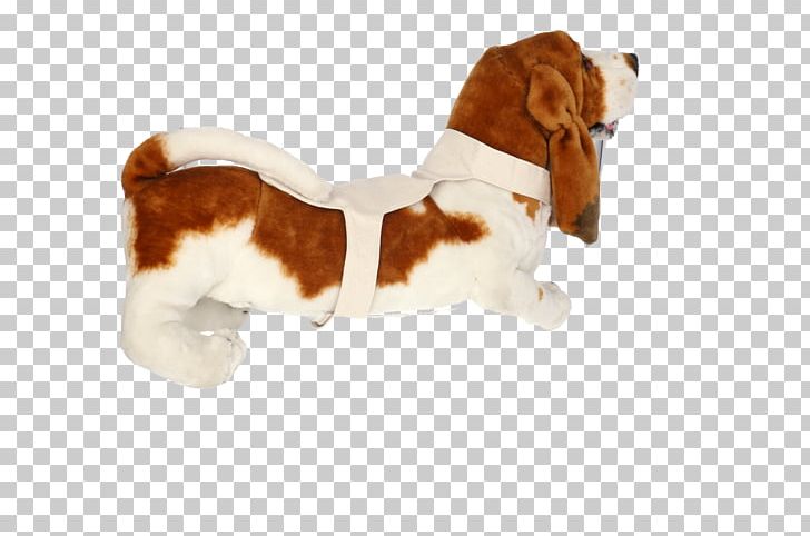 Basset Hound Beagle Puppy Dog Breed Companion Dog PNG, Clipart, Animals, Basset Hound, Beagle, Biomedical, Breed Free PNG Download