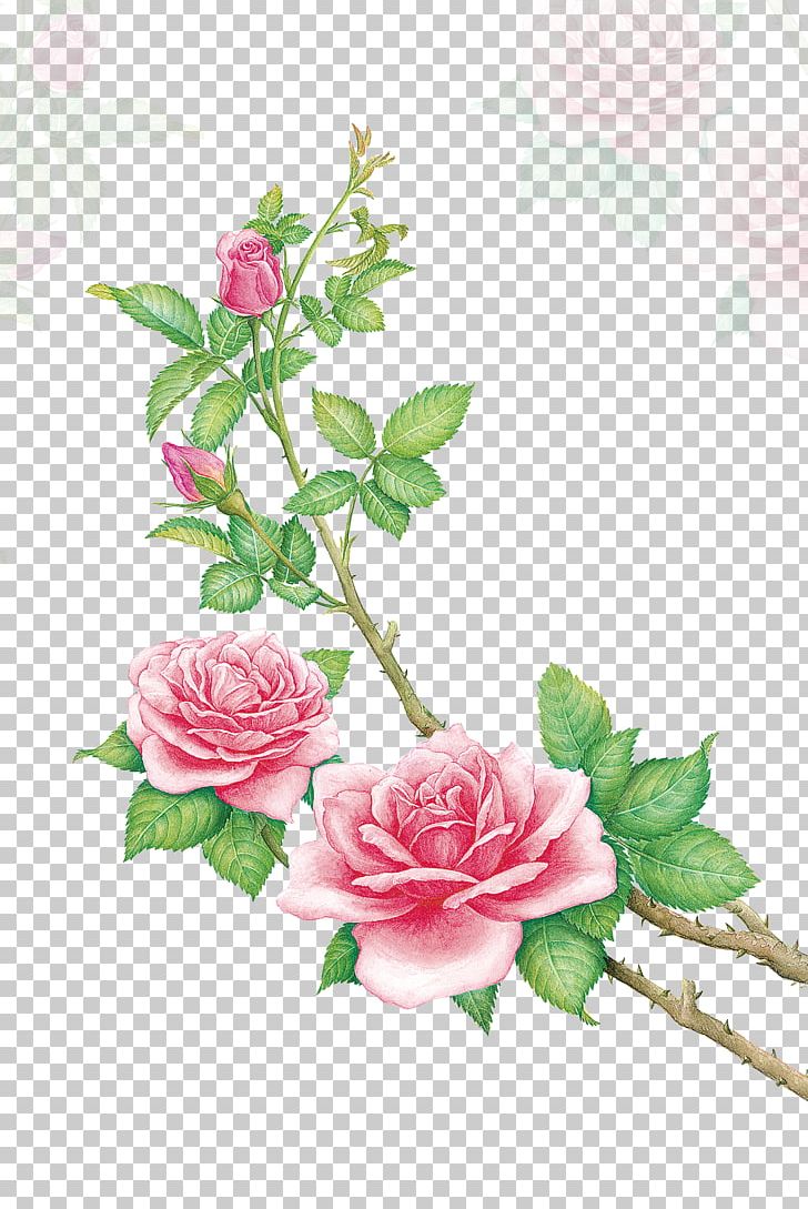 Beach Rose Skin Dew Make-up PNG, Clipart, Artificial Flower, Branch, Bud, Buds, Cosmetics Free PNG Download
